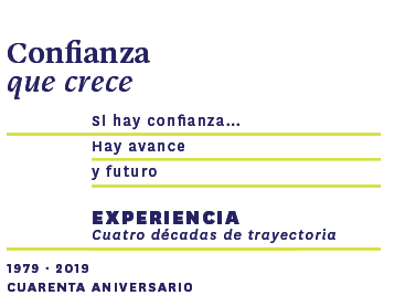 frase-experiencia-depetris-empresa frase-experiencia-depetris-empresa